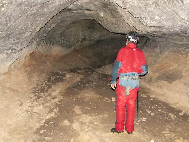 Fotografía de TERRERA, COVA (3 de 7)