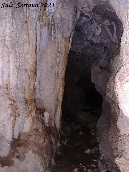 Fotografía de OLOPTE, COVA G D' (3 de 6)