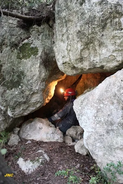 Photograph of OR, COVA PETITA DE L' (1 of 3)