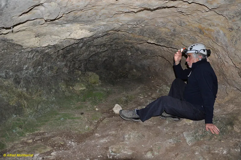 Photograph of DRAC DE VILARJOAN, COVA DEL (4 of 4)