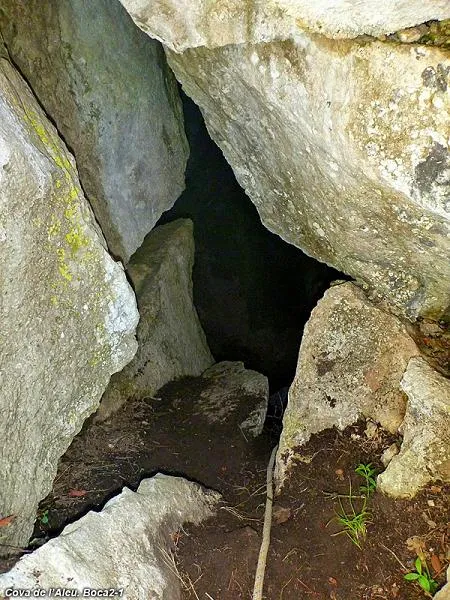 Fotografía de ALEU, COVA DE L' (2 de 6)