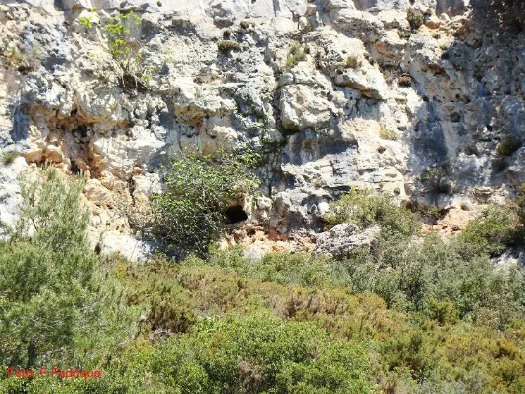 Fotografia de BONICA, COVA (3 de 18)