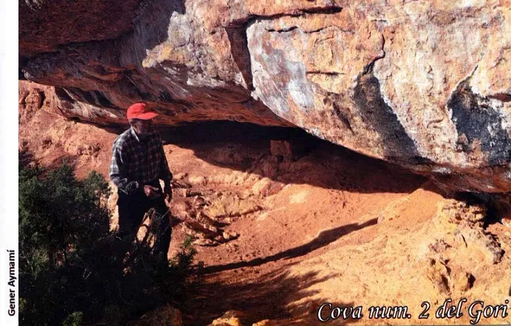 Fotografia de GORI, COVA Nº2 DEL (2 de 3)