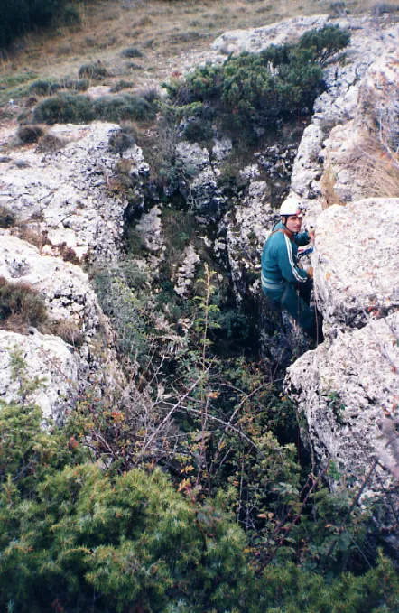 Fotografía de CLOT DEL POU, GRALLER DEL (3 de 5)