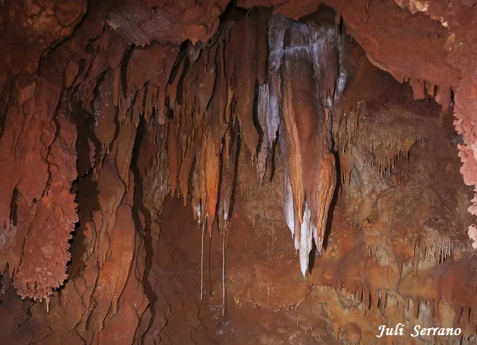 Photograph of XICLET, AVENC DEL (9 of 13)