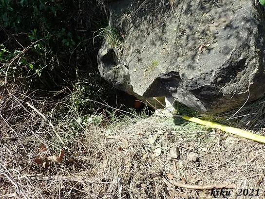 Photograph of TERRATRÈMOL, FORATS DEL (3 of 6)