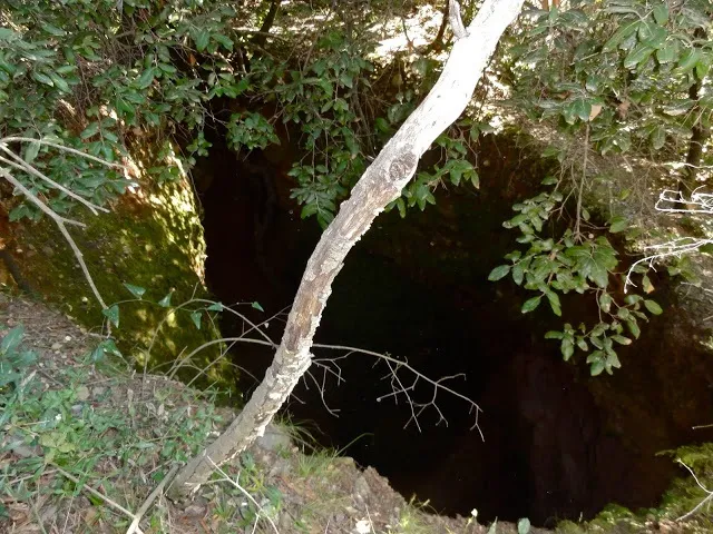 Photograph of SOT DE LA CARDA, AVENC DEL (1 of 2)