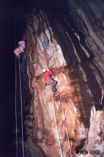 Photographie de BOIXEGUER, GRALLER DEL (4 sur 18)