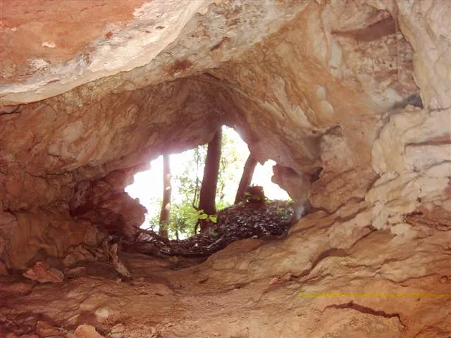 Photographie de REIXAC, COVA DEL (2 sur 3)