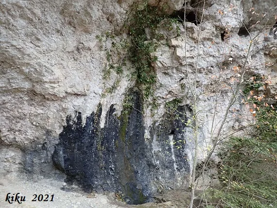 Photograph of CINGLES DE BARRINA, BALMA DELS (3 of 4)