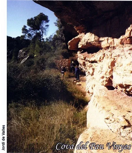 Photographie de PAU VINYES, COVA DEL (1 sur 3)