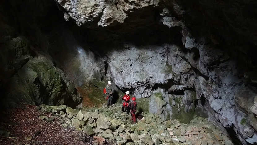 Photographie de CACO, FORAT DEL (12 sur 13)