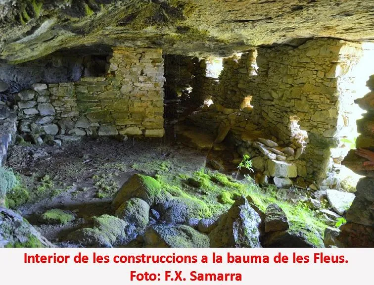 Fotografia de FLEUS, BALMA DE LES (3 de 4)
