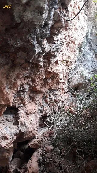 Fotografia de XACÓ, COVA FÒSSIL Nº1 DEL (2 de 3)