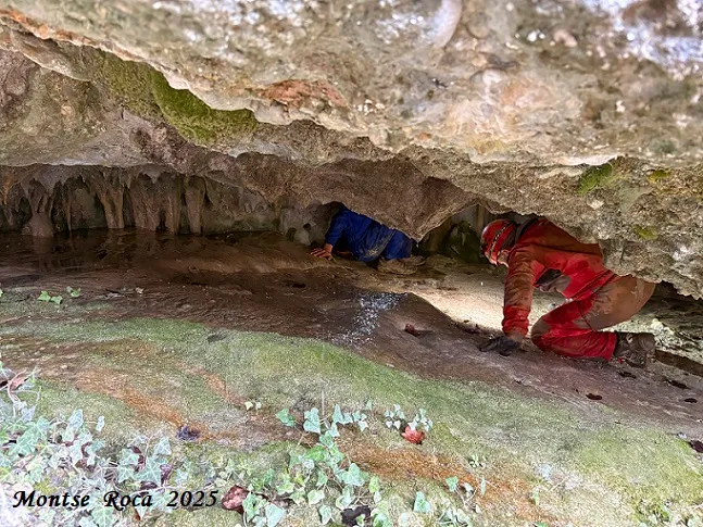 Fotografia de AIGUA DE CASELLES, COVES DE L' (12 de 13)