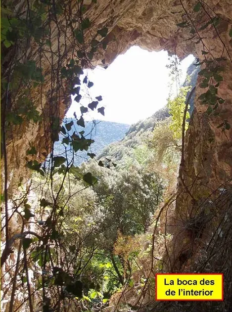 Fotografía de MONTGLÒS, COVA DE (4 de 5)