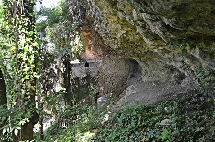 Photograph of RENTADOR DE LA LLANA DEL ROQUER, BALMA DEL (6 of 6)