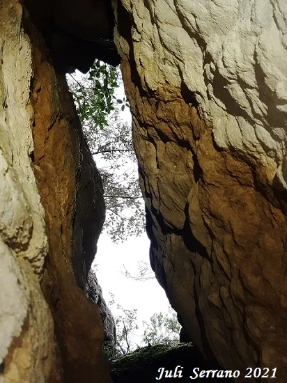 Fotografia de SERRA DEL MAS, COVA SM-18 DE LA (6 de 6)