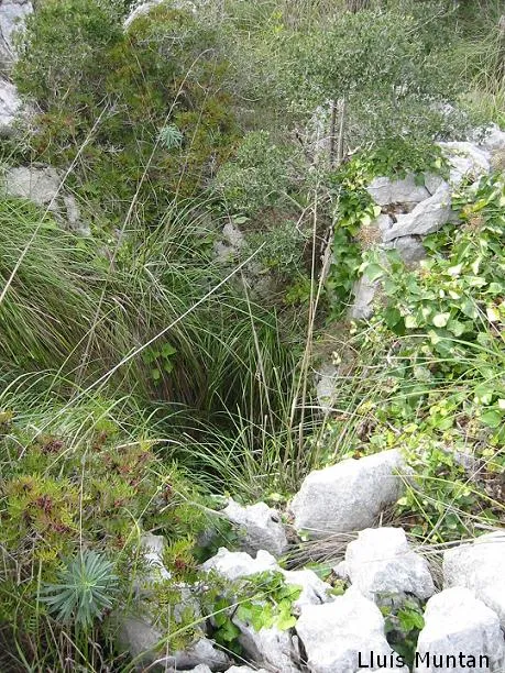 Fotografía de RASCLER, AVENC DEL (3 de 3)
