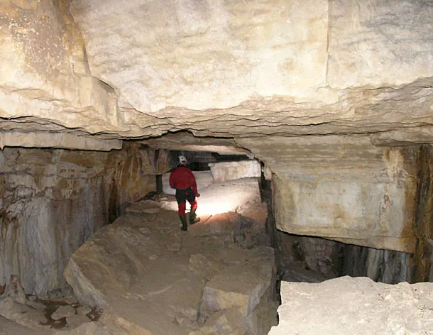 Photograph of TEIXIDORS, BORA DELS (5 of 8)