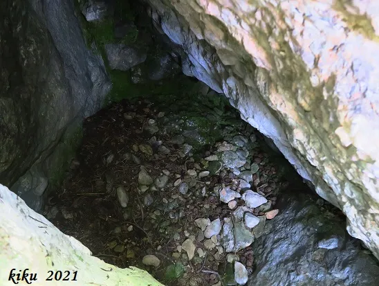 Photographie de NEVERA DE PUIGVENTÓS, AVENC DE LA (4 sur 8)