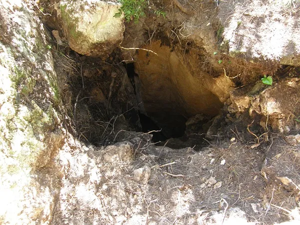 Photographie de ARRELS-CLONC, SISTEMA (7 sur 15)