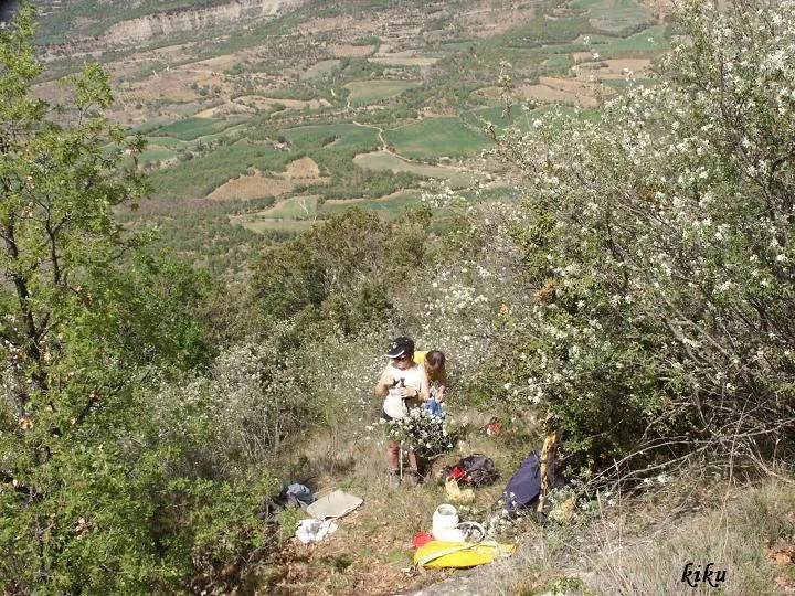 Fotografía de GRALLERA, FORAT DE LA (9 de 9)