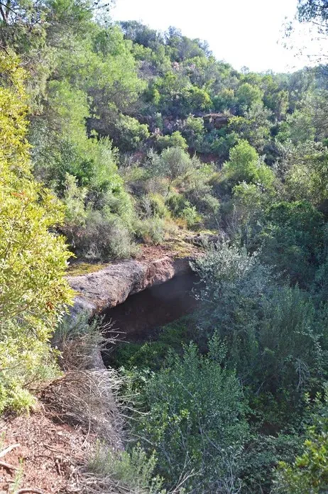 Photograph of SANANA, BALMA GRAN DE (1 of 5)