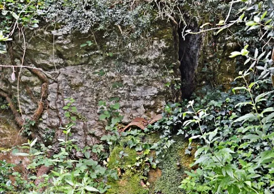 Photographie de FEBRES, FONT DE LES (2 sur 3)