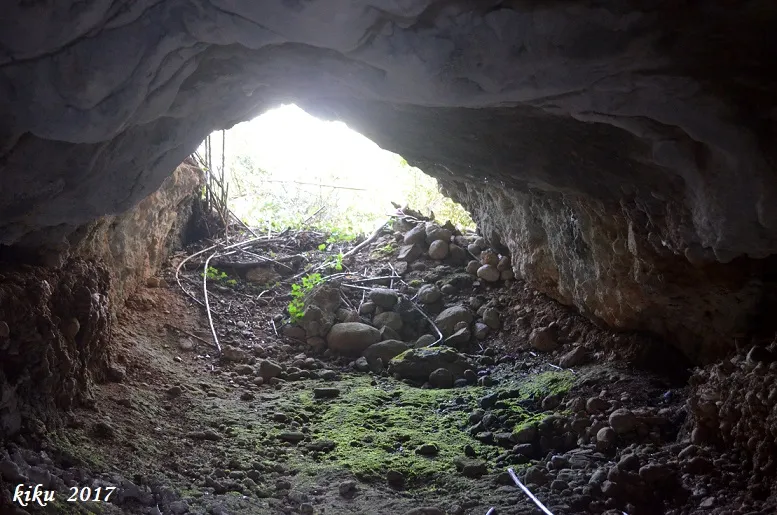 Photograph of LLADRE, FORAT DEL (8 of 10)