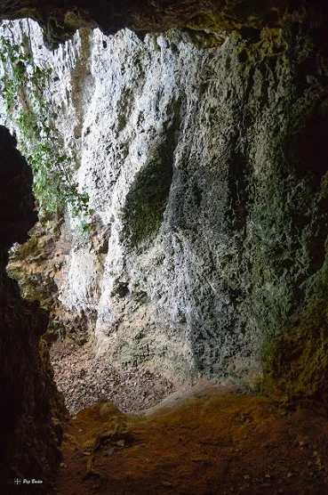Fotografia de COLOMS, COVA DELS (2 de 3)