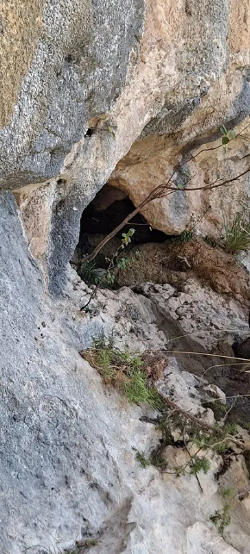 Fotografia de COMARQUES, COVA DE LES (3 de 5)