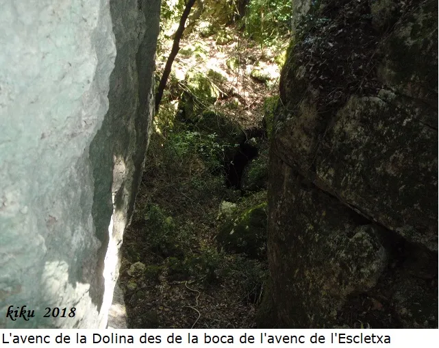 Fotografía de DOLINA, AVENC DE LA (1 de 4)