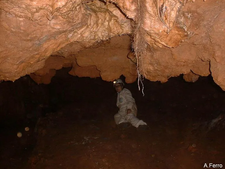 Fotografía de TOIXONS, COVA DELS (7 de 8)