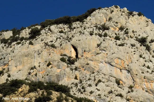 Fotografía de CAIXES DE FENOLLET, ESPLUGA DE LES (1 de 8)