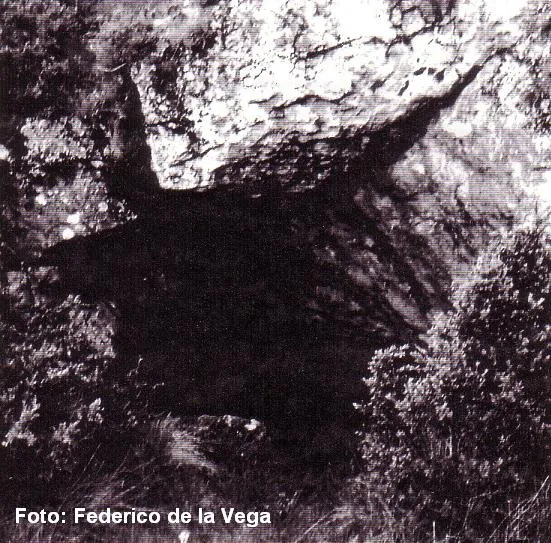 Fotografia de FORIC, LO (1 de 5)