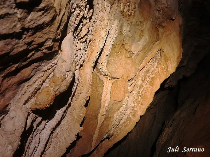 Photograph of PARDINA, GRALLER Nº3 DE LA (4 of 6)