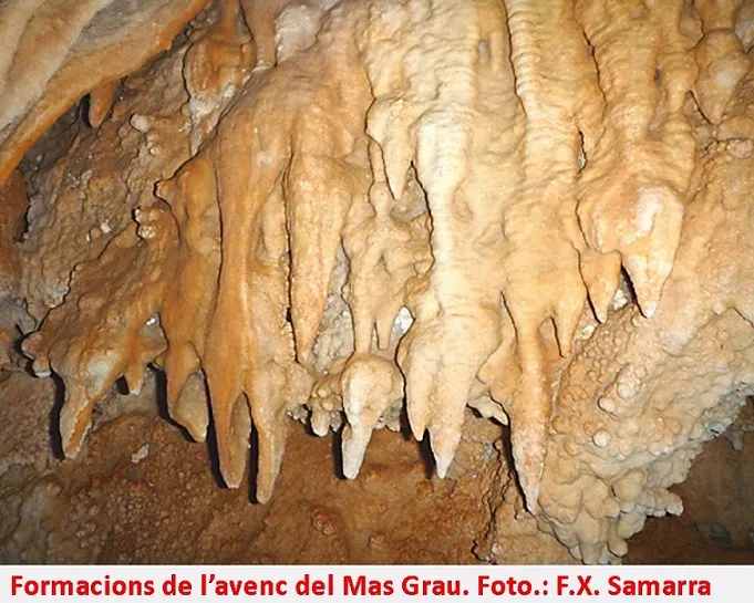 Fotografía de MAS GRAU, AVENC DE (4 de 4)