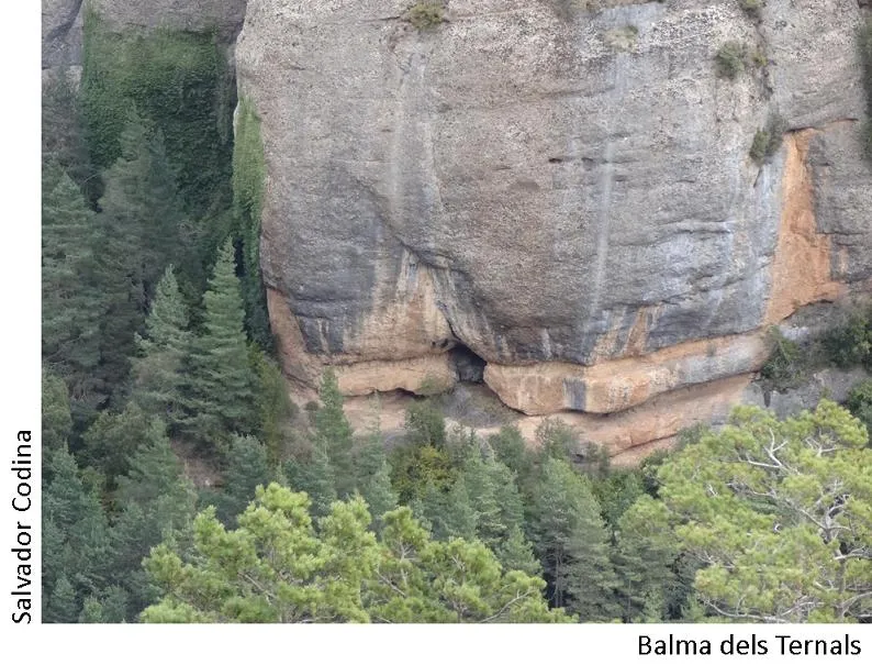 Fotografia de TERNALS, BALMA DELS (1 de 1)