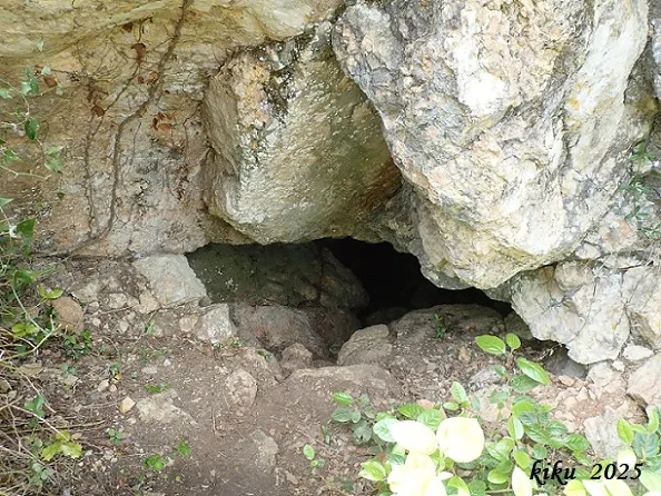 Photograph of QUATRE GATS, COVA DELS (2 of 5)