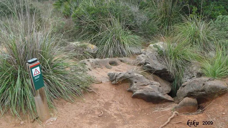Photograph of LLAMBRICS, AVENC DELS (2 of 2)
