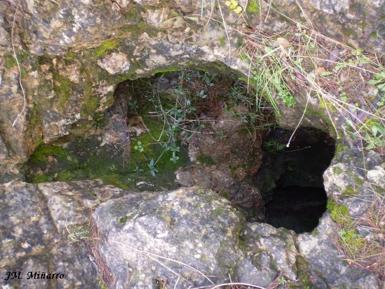 Fotografia de CUNETA, AVENC DE LA (2 de 5)