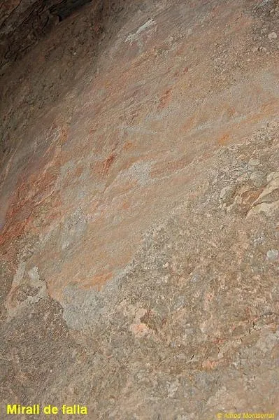 Photograph of LLIMBS, CAU DELS (6 of 6)