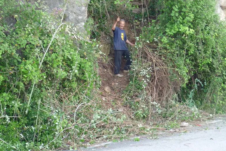 Fotografia de TRENCADA, COVA (3 de 5)