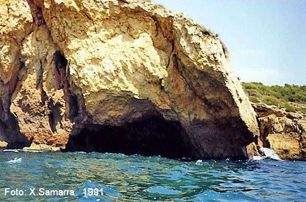 Fotografia de CALA DE LA MÓRA, AVENC I COVA DE LA (5 de 6)