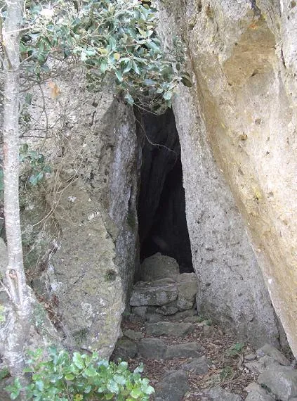 Fotografía de GRALLES, COVA DE LES (1 de 1)