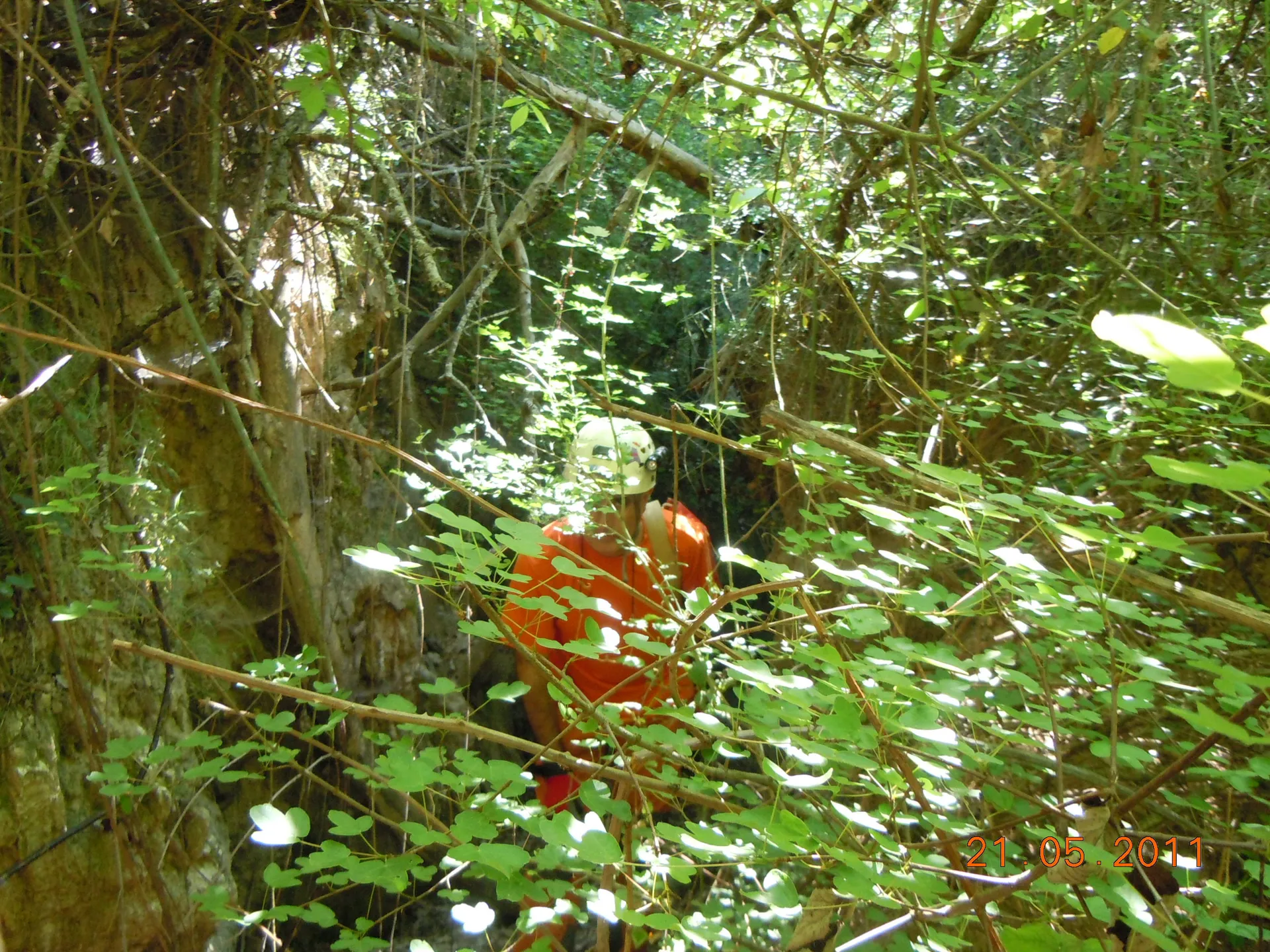 Fotografia de BARRANC DE FAMIDES, COVA DEL (1 de 8)