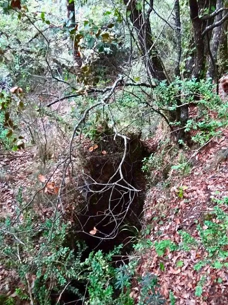 Fotografia de ESQUENA D'ASES, AVENC DE L' (1 de 1)