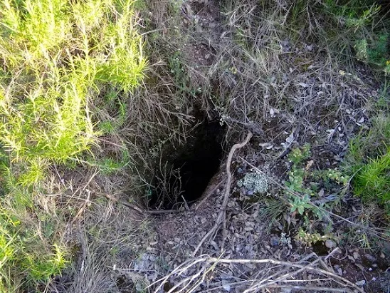 Fotografia de FONT DEL CONILL, AVENC DE LA (1 de 1)
