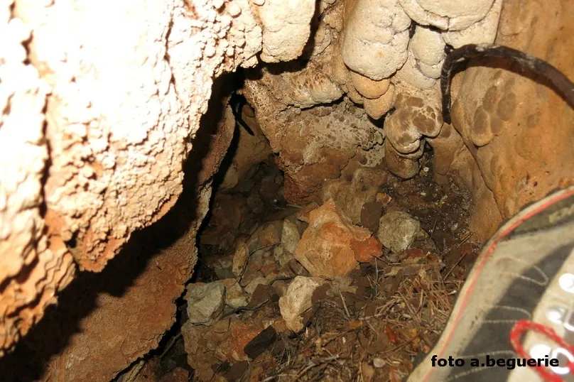Photograph of NET, AVENC (5 of 5)